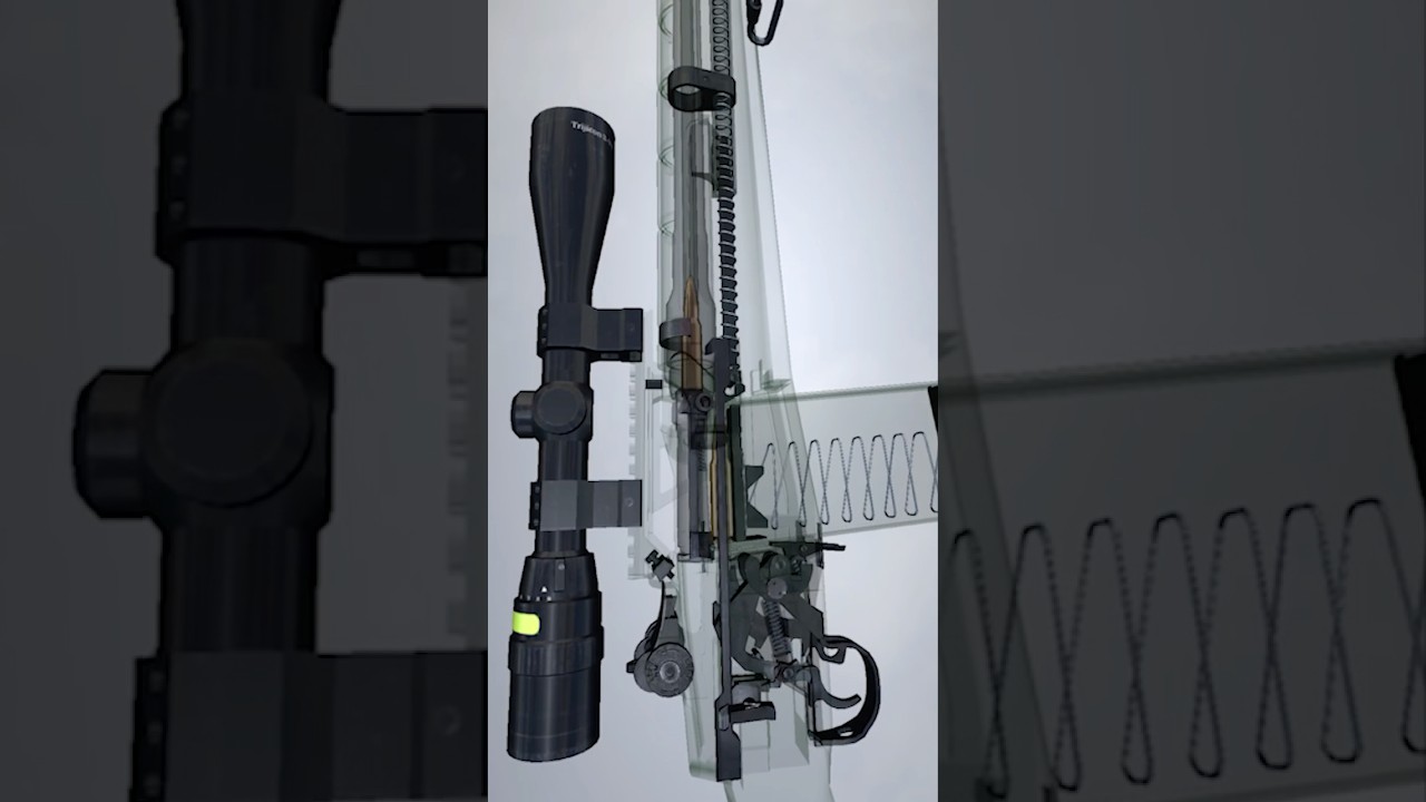 THE M14 STORY NOBODY TELLS 