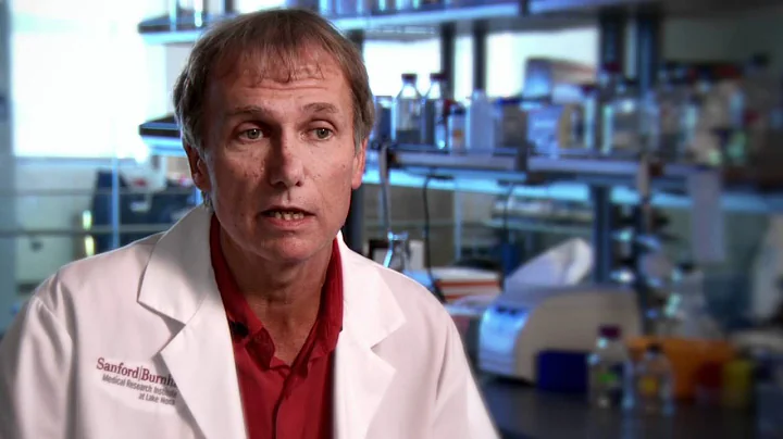 Timothy Osborne, Ph.D.