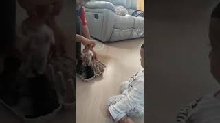 Cute baby throwing kittens.