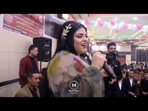 حفلة بمناسبة عيد الحب الفنانة بشرى تركماني 14 2 2022