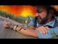 Las Picaduras y Mordeduras de animales mas Dolorosas de Coyote Peterson