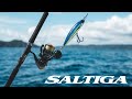 Daiwa 23 saltiga  pinnacle of daiwa engineering