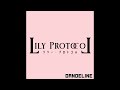 Lily Protocol