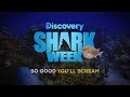 Youtube Thumbnail So Good You’ll Scream: Shark Week Starts Sunday, July 28!