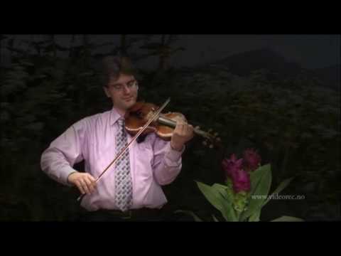 Lasse Thoresen: YR, Violine: Gregory Maytan