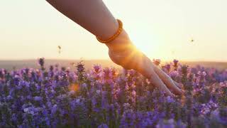 C-Jay - Backslider Part 7