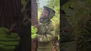 How to Handle Giant Hornets Safely  #gianthornets #wildliferescue #honey #hornetnestremoval