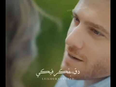 وحياة الحب اللي بحبو لعنيكي سركان وايدا