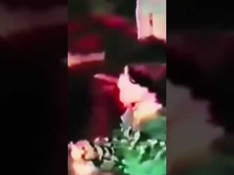 چی میگه فرید و شیر آغا دمبوره دمبوره Afghanistan Iranpakistan 