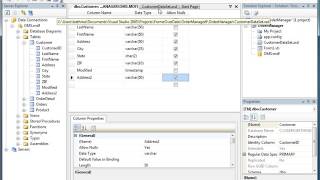 5, MSDN-ADD A COLUMN IN DATABASE(BETH MASSI) Net Worth