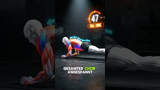 ABS WORKOUT FÜR HEUTE 🔥 | 20 Min Ganzkörper Core Training (Alle Levels)