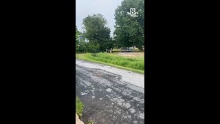 Woman found dead in Dauphin County creek, police investigating