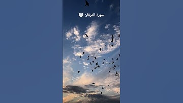 سورة الفرقان بصوت الشيخ محمد اللحيدان 🤍🤍#قرآن #قران_كريم #قران #foryou #اكسبلور #music #shortvideo
