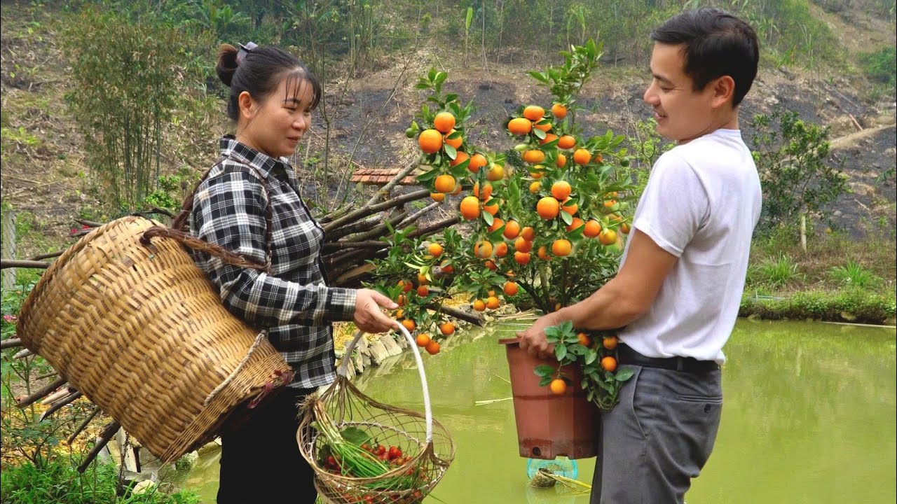 Green Farm Life: A kind man and a single mother live a life far removed from the hustle and bustle.