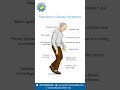 Restless Legs Syndrome Explained | Causes, Symptoms &amp; Treatment for Better Sleep at Night