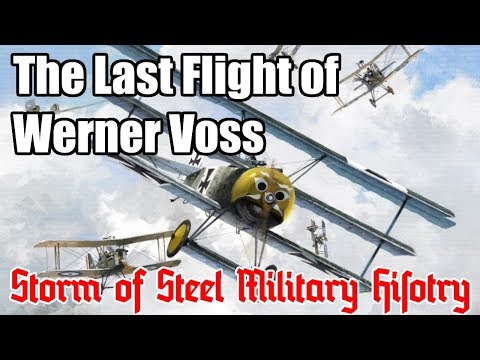 The Last Flight of Werner Voss: Storm of Steel Military History