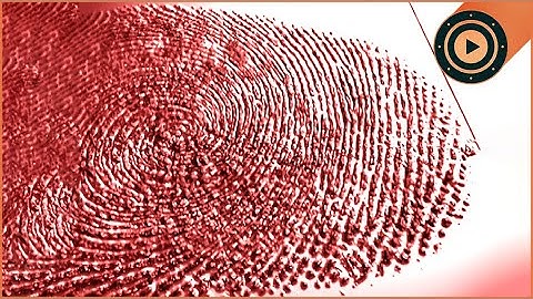 The Bloody Fingerprinting That Convicted A Serial Killer | The New Detectives