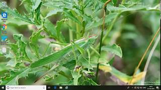 How to Configure Assigned Access to Specified User in Windows 10 (Tutorial)