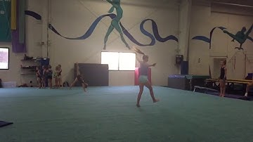 Switch Leap to Tour Jette Half to Wolf Full - Floor