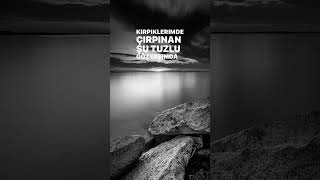 Ahmet Kaya Başım Belada