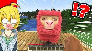 【閲覧注意】リアルすぎて気持ち悪いマインクラフト【マイクラ・Minecraft】