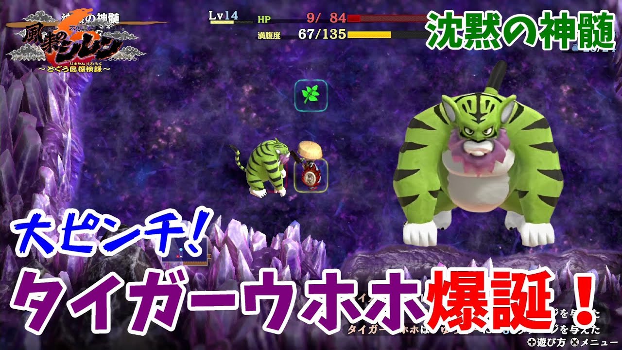 風来のシレン6】タイガーウッホがレベルアップ！タイガーウホホの