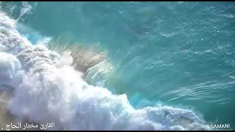 القارئ مختار الحاج ، إمام مسجد حنظلة بن عامر بالشارقة ، آيات من سورة الشورى .