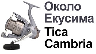 картинка: Tica Cambria LD | Около Екусима | Обзор + Разбор Катушки