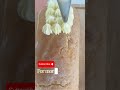 Creamy Swiss roll ✨ #cake #baking #asmr #food #satisfying #dessert #swissroll #bakery #trending