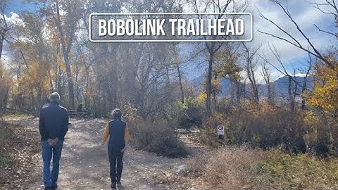 Today we take the kiddo and enjoy the Fall colors at Bobolink Trailhead in Boulder, Colorado