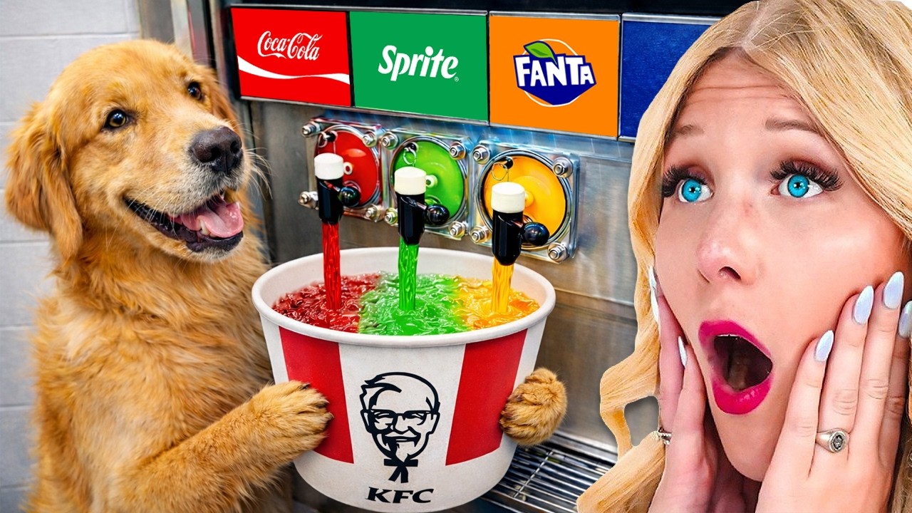 Питомцы с IQ 900, которые обходят систему!