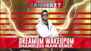 Dreamum Wakeupum - Shameless Mani Remix