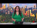 Brandon Johnson anuncia que busca la reelección a la alcaldía de Chicago