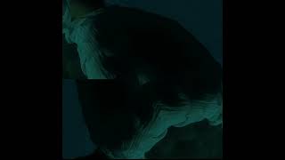 Eve Dönüş Yok - Enkaz Out Now