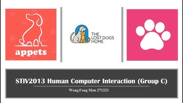 STIV2013 Human Computer Interaction (Website / Application Review)