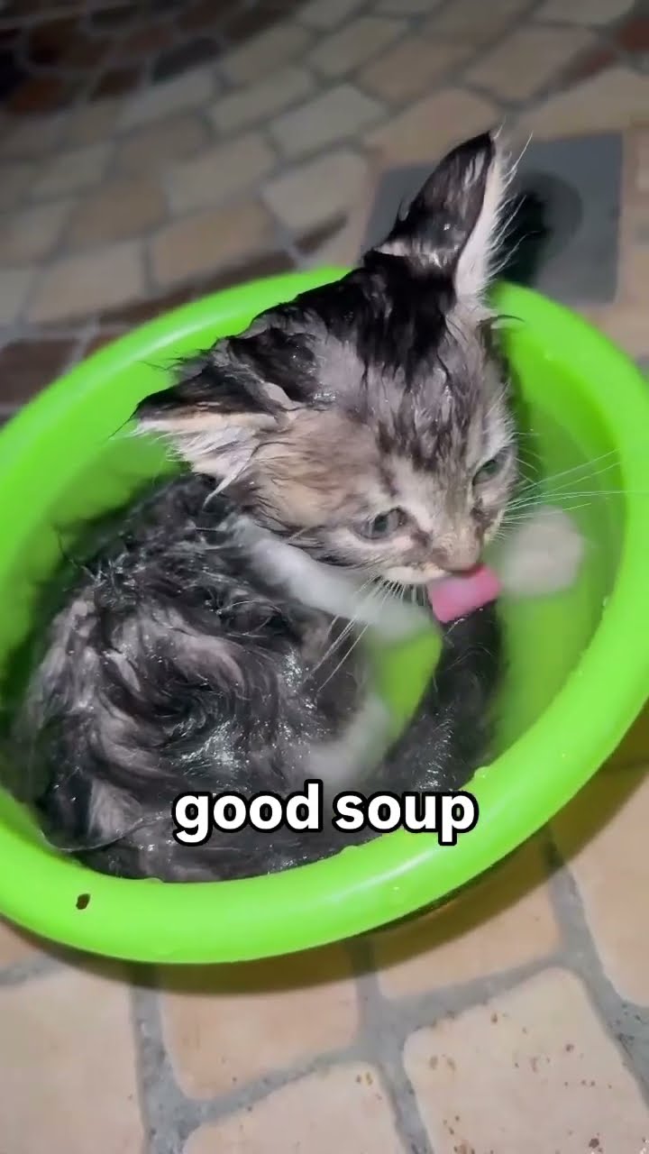 It’s Christmas so prvnci waking up like where the soup