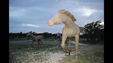 Intro to Cinema-Group Project-Cinematography
