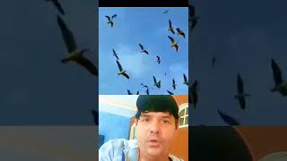 #muito lindo a natureza #segue #meu #canal