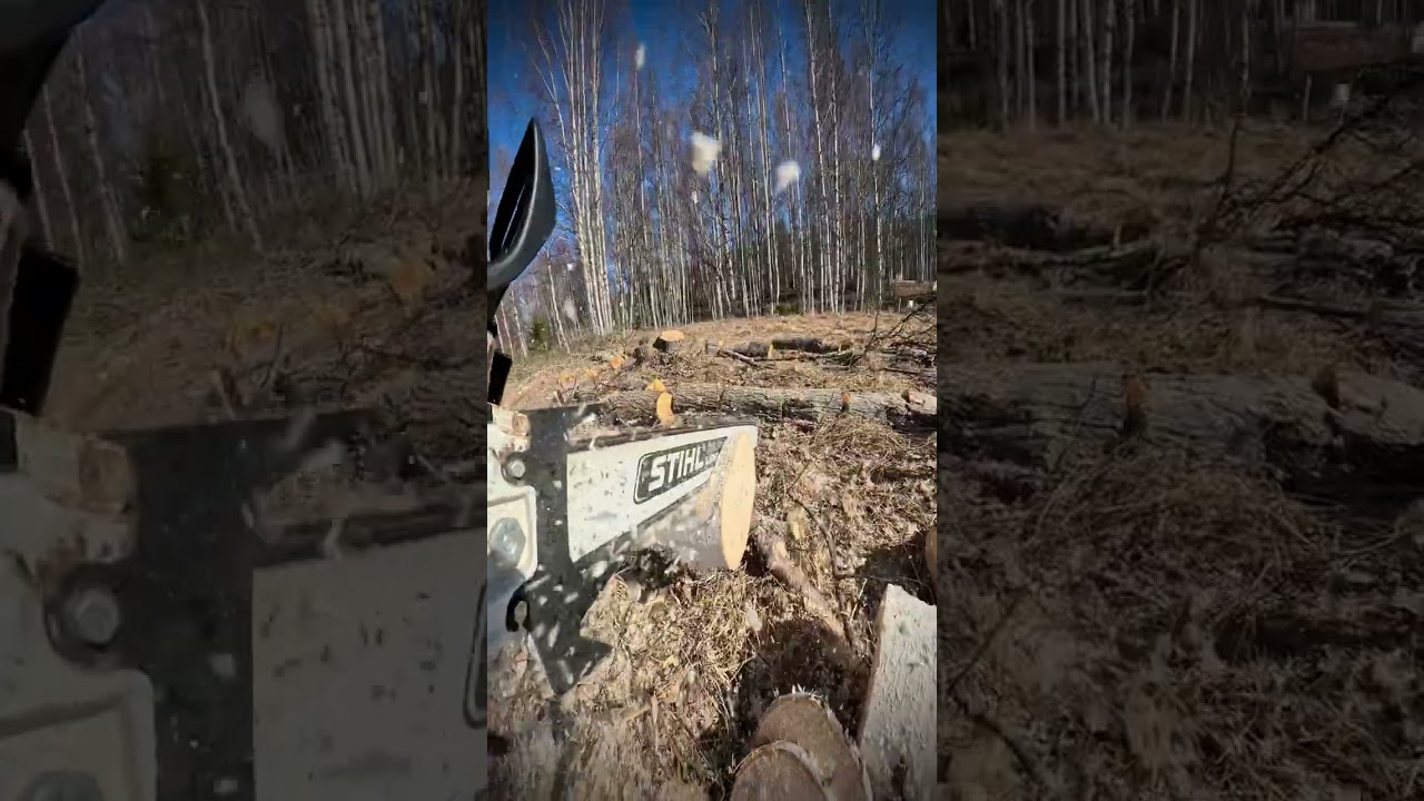 Chainsaw cookie cam, best cookie cutter! 