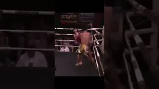 🥊Fastest Head Kick Knockout Ever in the History of Combat Sports #shorts