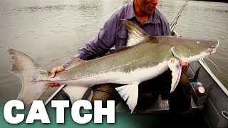 Piraíba on the Hook | River Monsters | Catch
