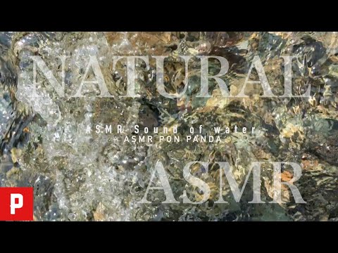 【癒し】川のせせらぎ自然音 ASMR Relaxing River Sounds for Sleep