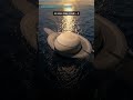 Saturn — The Only Planet That Would Float