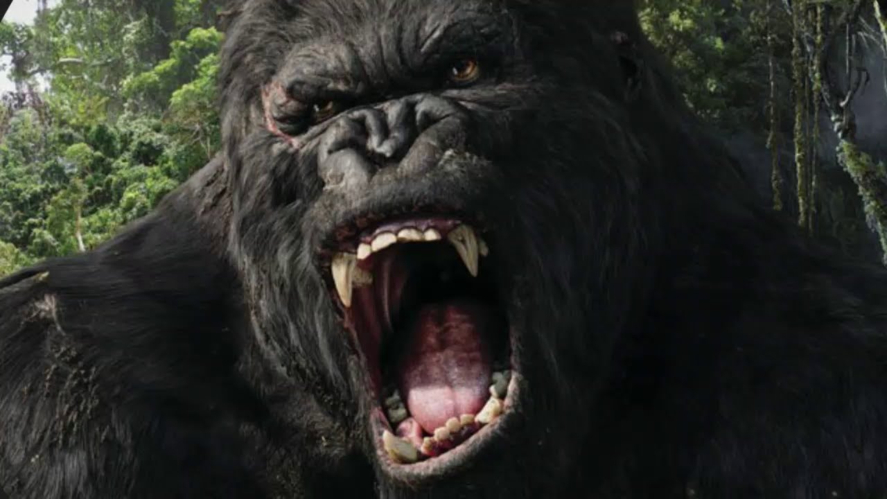 لاتفوتوا مشاهدة فيلم King Kong غداً على MBC2