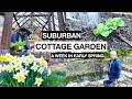 A week in suburban cottage home garden  early spring  gardening koi pond deer defense cooking