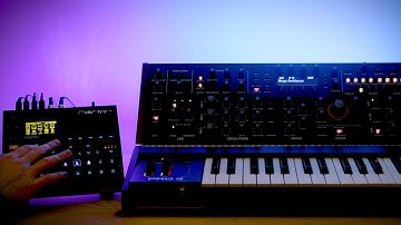 A sampler and a synth (Digitakt and Pro 3)