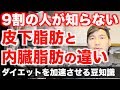 【9割の人が知らない】内臓脂肪と皮下脂肪の特徴を解剖生理学的にわかりやすく解説します。