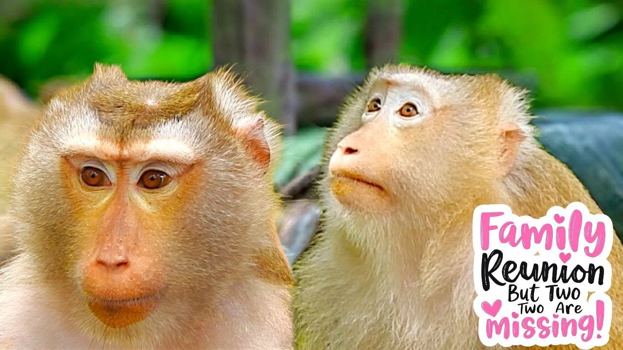 Joyful Reunion for ROSE and LIBBY | The Untold Reason RAINBOW & LEO Were Absent