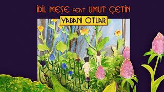 İdil Meşe feat. Umut Çetin - Yabani Otlar Resimi