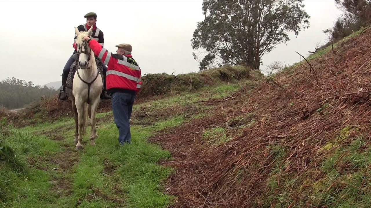 A Croa do Castro de Cerqueda